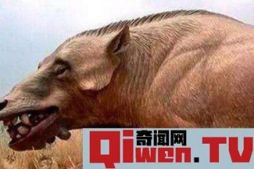 洪荒野兽真的存在吗 恐龙对抗的猪被灭绝