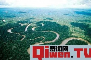 现世界上最大的蛇