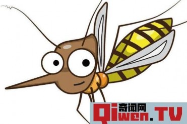 地球最致命的十种动物 鲨鱼第九 第一杀死300万人...