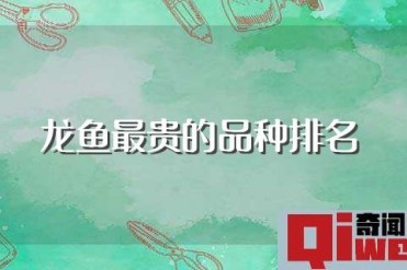 龙鱼最贵的品种排名 排行前十的龙鱼品种