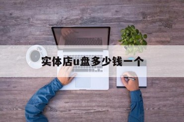 实体店u盘多少钱一个