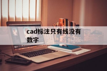 cad标注只有线没有数字