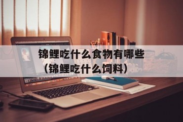 锦鲤吃什么食物有哪些(锦鲤吃什么饲料)