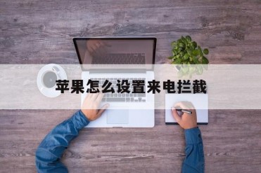 苹果怎么设置来电拦截