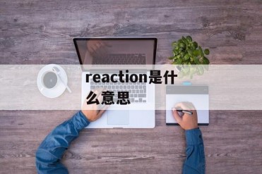 reaction是什么意思