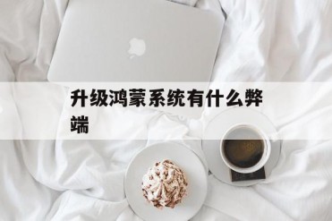 升级鸿蒙系统有什么弊端