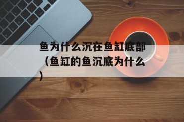 鱼为什么沉在鱼缸底部(鱼缸的鱼沉底为什么)
