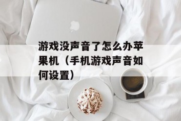 游戏没声音了怎么办苹果机(手机游戏声音如何设置)