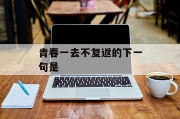 青春一去不复返的下一句是