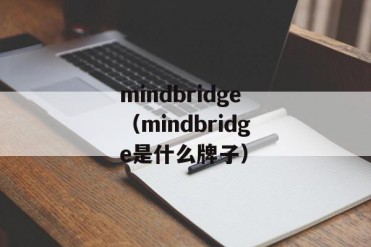 mindbridge(mindbridge是什么牌子)