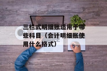 三栏式明细账适用于哪些科目(会计明细账使用什...