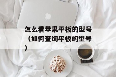 怎么看苹果平板的型号(如何查询平板的型号)