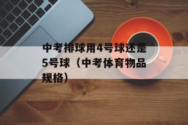 中考排球用4号球还是5号球(中考体育物品规格)
