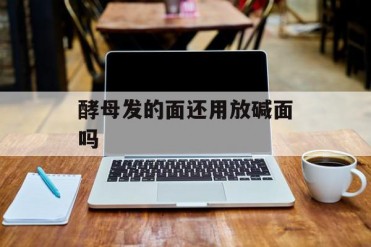 酵母发的面还用放碱面吗