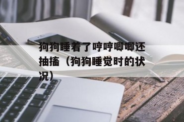 狗狗睡着了哼哼唧唧还抽搐(狗狗睡觉时的状况)