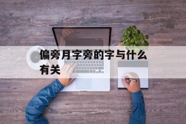 偏旁月字旁的字与什么有关
