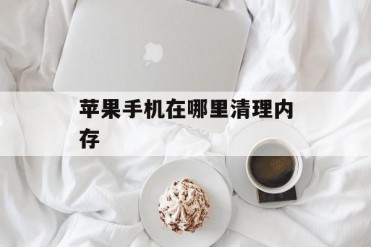 苹果手机在哪里清理内存