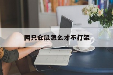 两只仓鼠怎么才不打架