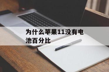为什么苹果11没有电池百分比