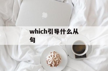 which引导什么从句