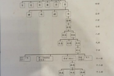 苏炳添居然是苏东坡第29代孙