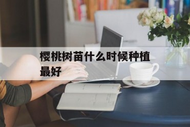 樱桃树苗什么时候种植最好