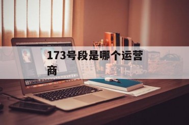 173号段是哪个运营商