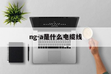 ng-a是什么电缆线