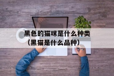 黑色的猫咪是什么种类(黑猫是什么品种)