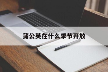 蒲公英在什么季节开放
