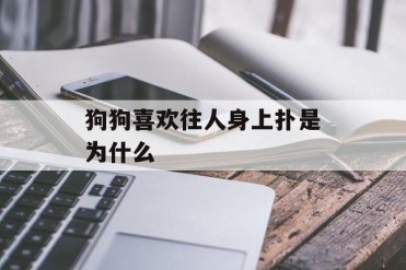 狗狗喜欢往人身上扑是为什么