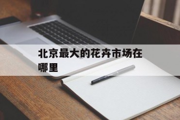 北京最大的花卉市场在哪里