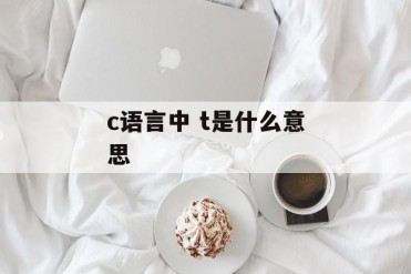 c语言中 t是什么意思