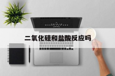二氧化硅和盐酸反应吗