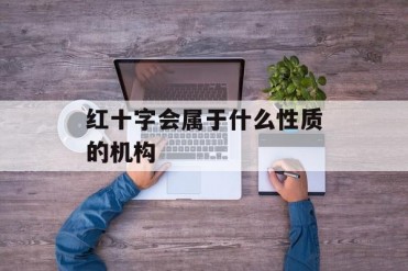 红十字会属于什么性质的机构