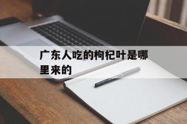 广东人吃的枸杞叶是哪里来的