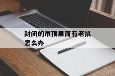 封闭的吊顶里面有老鼠怎么办