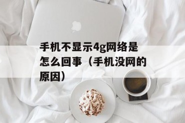 手机不显示4g网络是怎么回事(手机没网的原因)