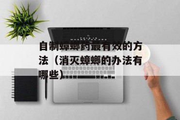 自制蟑螂药最有效的方法(消灭蟑螂的办法有哪些)