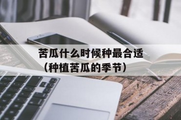 苦瓜什么时候种最合适(种植苦瓜的季节)