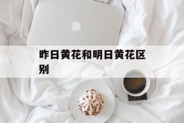 昨日黄花和明日黄花区别