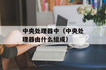 中央处理器中(中央处理器由什么组成)