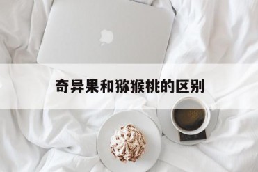 奇异果和猕猴桃的区别