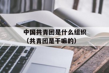 中国共青团是什么组织(共青团是干嘛的)