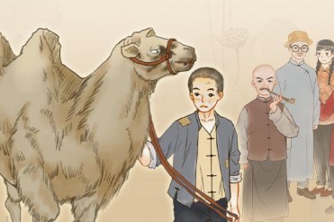 骆驼祥子第14章概括