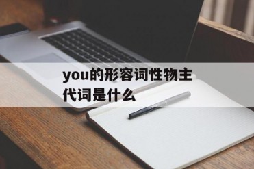 you的形容词性物主代词是什么