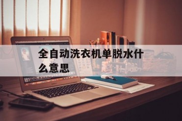 全自动洗衣机单脱水什么意思