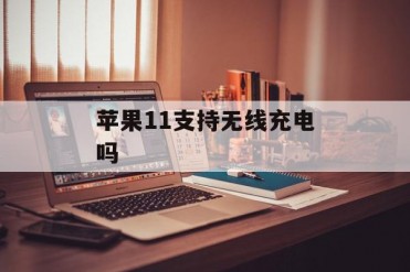 苹果11支持无线充电吗