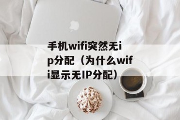 手机wifi突然无ip分配(为什么wifi显示无IP分配)