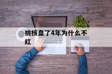 桃核盘了4年为什么不红